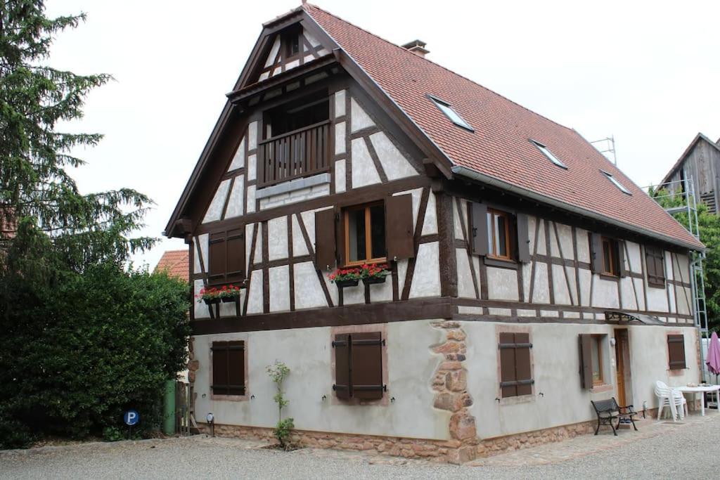 Spacieux Duplex 1 A 6 Personnes Ebersheim المظهر الخارجي الصورة
