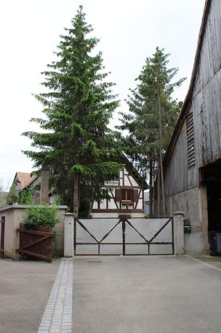 Spacieux Duplex 1 A 6 Personnes Ebersheim المظهر الخارجي الصورة